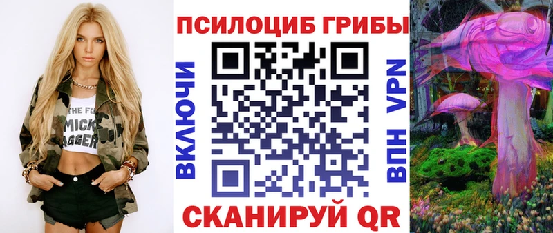 кракен ТОР  Нижнеудинск  Псилоцибиновые грибы прущие грибы 